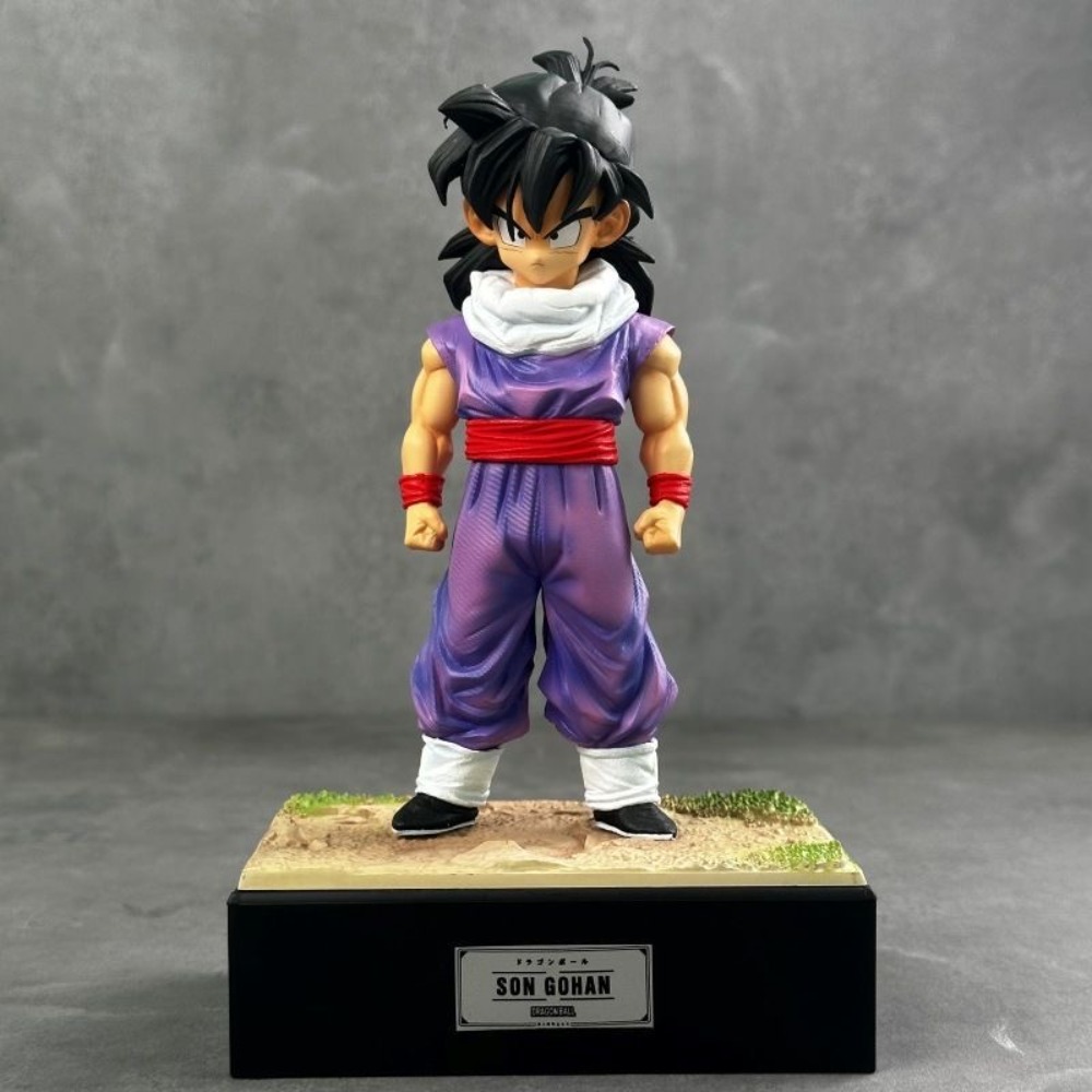 17-37cm Anime Dragon Ball Z Fi - đánh giá và giá Model Kit Vegeta