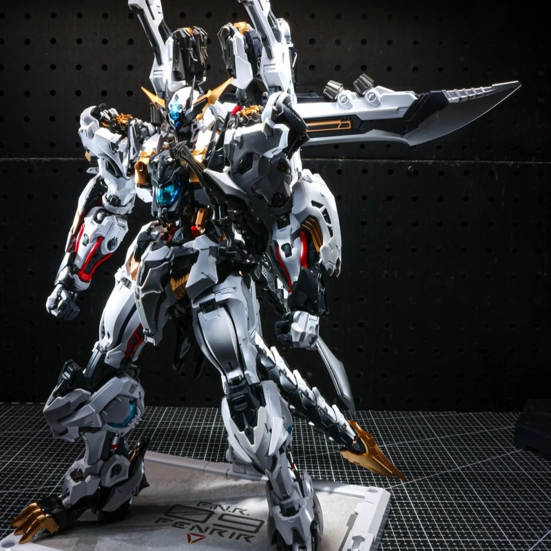 【IN STOCK】IN ERA+ RMD 1/72 FEN - đánh giá và giá Model Kit Infinite Dimension